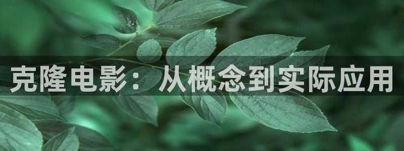 西瓜电影吧