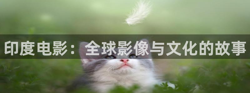 西瓜影院安卓下载