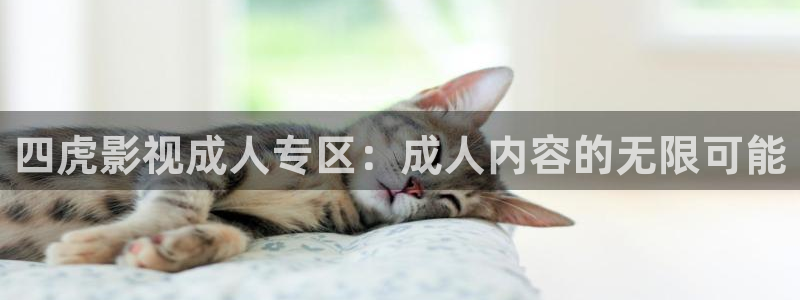 西瓜视频看片