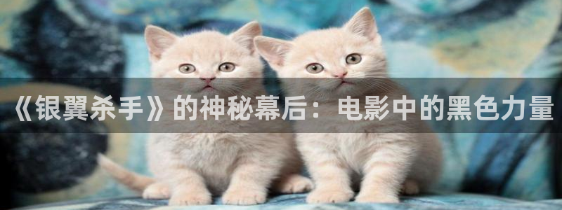 西瓜电影频道