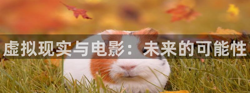 西瓜妹妹在线观看电视剧免费高清