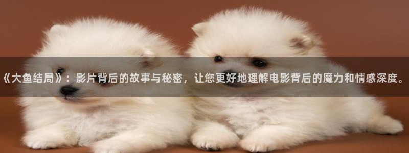 沉香重华免费西瓜影院