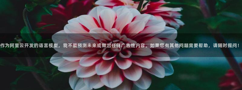 西瓜播放器在线观看