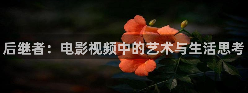 西瓜电影在线观看