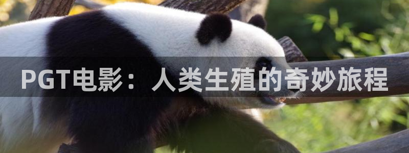 西瓜影院在线观看影片