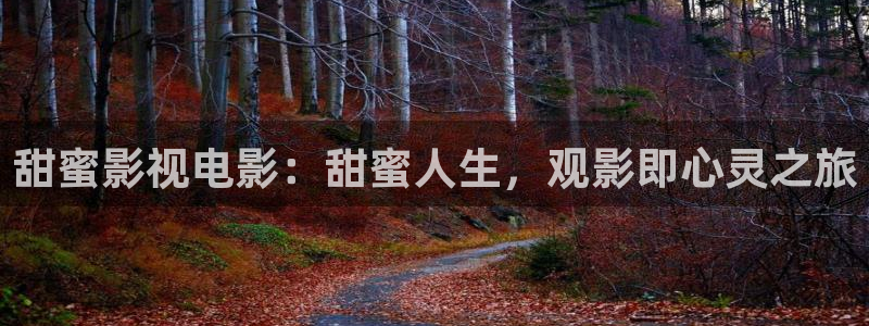 少帅电视剧全集西瓜