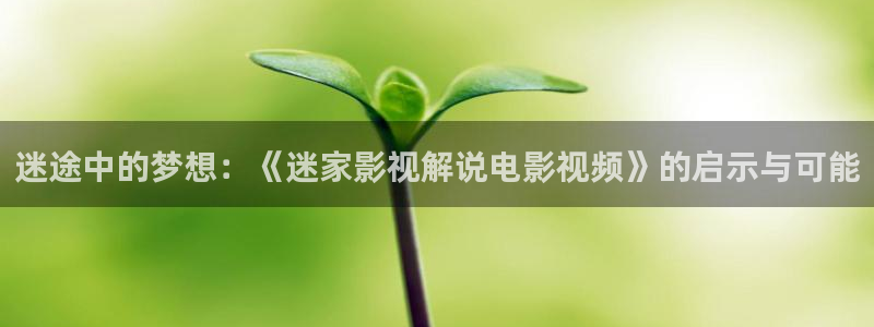 西瓜影院高清免费观看
