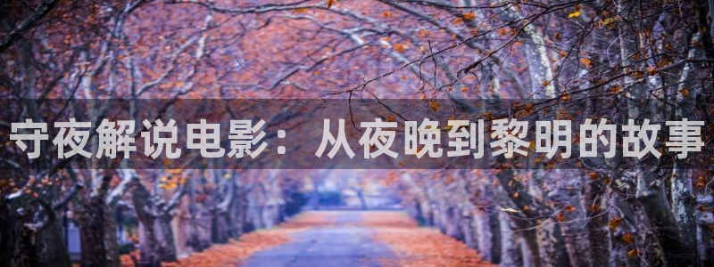 西瓜视频怎么样
