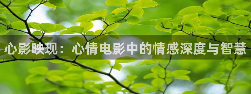 西瓜视频片免费：心影映现：心情电影中的情感深度与智慧