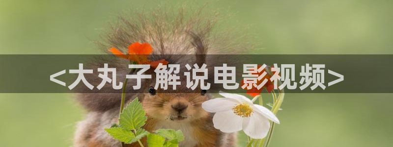 西瓜影院理论：<大丸子解说电影视频>