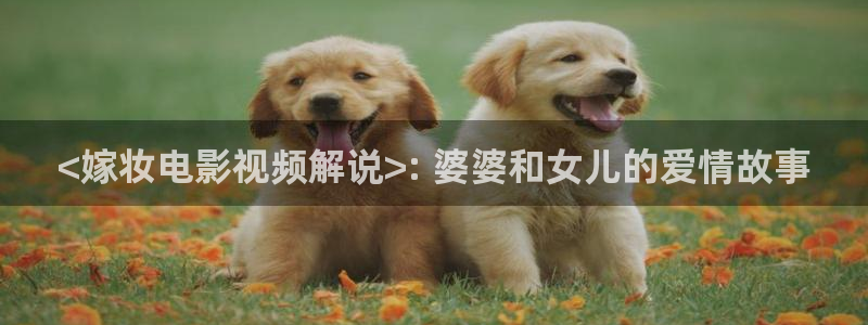 不期而至在线全集免费观看西瓜：<嫁妆电影视频解说>: 婆婆和女儿的爱情故事
