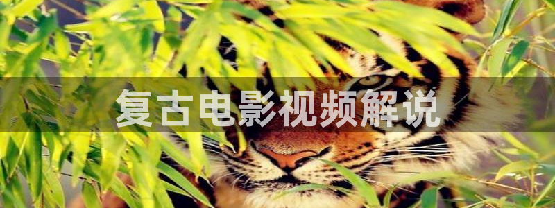 谁说我结不了婚免费观看西瓜：复古电影视频解说