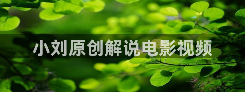 西瓜电影大全：小刘原创解说电影视频