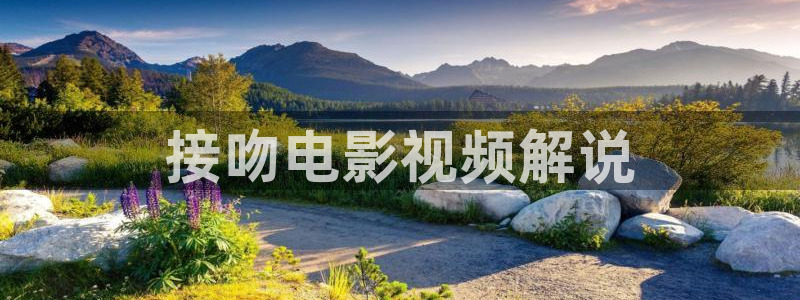 西瓜视频在线看电视剧是免费：接吻电影视频解说