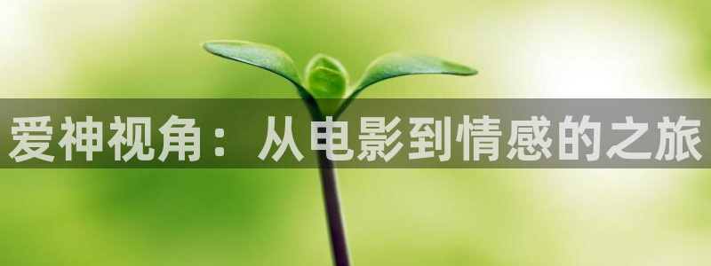 江照黎明西瓜免费观看：爱神视角：从电影到情感的之旅