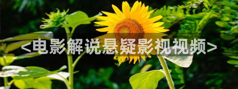 西瓜视频视频西瓜视频西瓜视频：<电影解说悬疑影视视频>