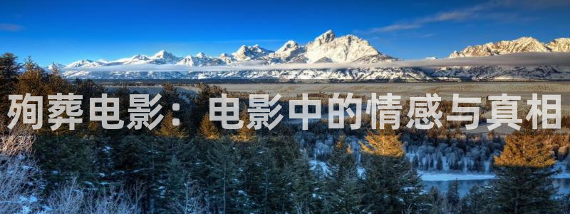 大同西瓜：殉葬电影：电影中的情感与真相