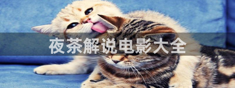 西瓜视频www,cn：夜茶解说电影大全