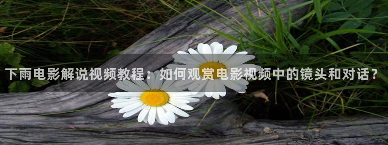 下载西瓜影院安装：下雨电影解说视频教程：如何观赏电影视频中的镜头和对话？