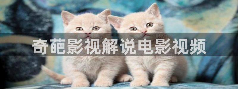 高端 西瓜：奇葩影视解说电影视频