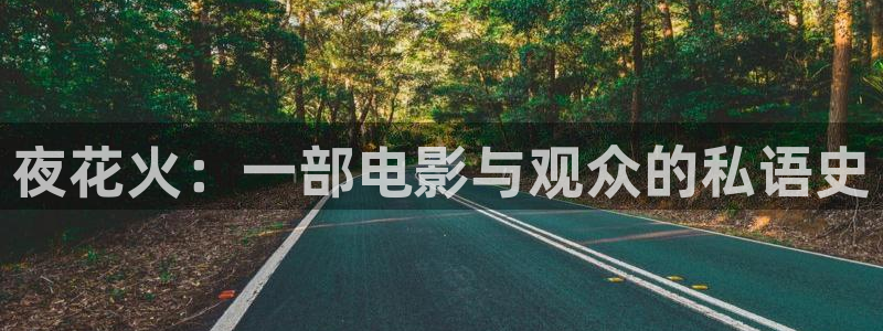 万西瓜影院：夜花火：一部电影与观众的私语史