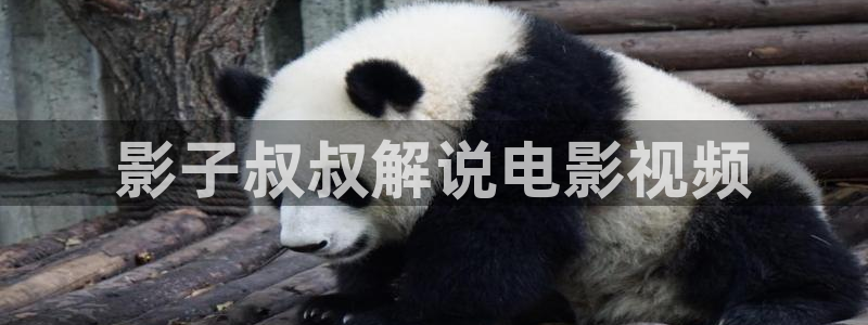知否免费版西瓜影院：影子叔叔解说电影视频