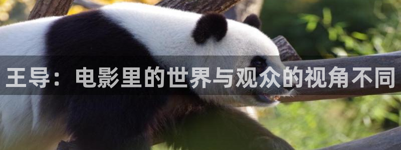 让子弹飞在线观看免费完整版西瓜