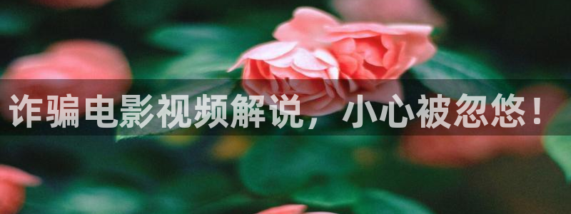 西瓜影院电影：诈骗电影视频解说，小心被忽悠！