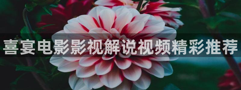 樱桃西瓜免费高清电视剧在线观看