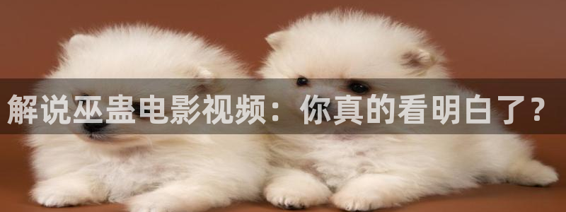 闪亮的西瓜免费观看
