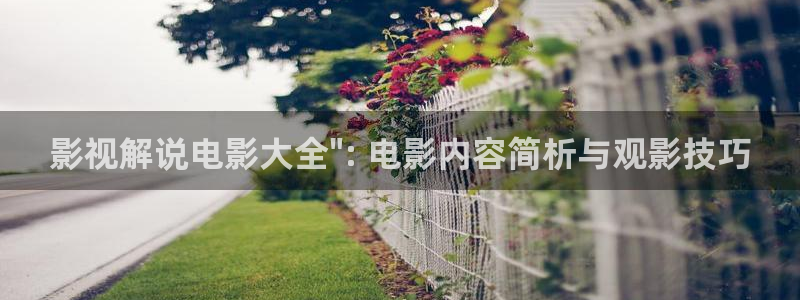 无证之罪免费观看西瓜