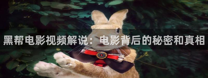 西瓜影院高清在线免费观看