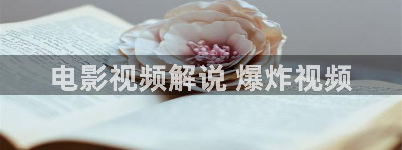 西瓜影院在线理论