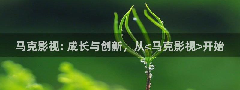 西瓜免费观看