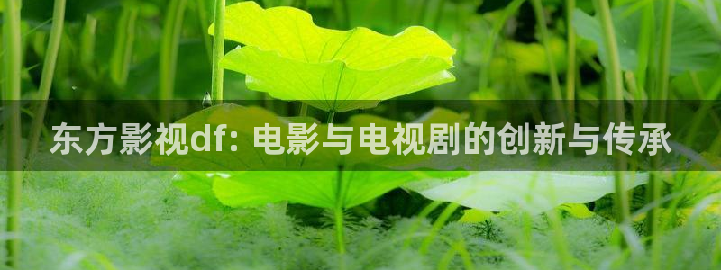 北京大兴区西瓜