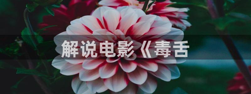 西瓜成熟