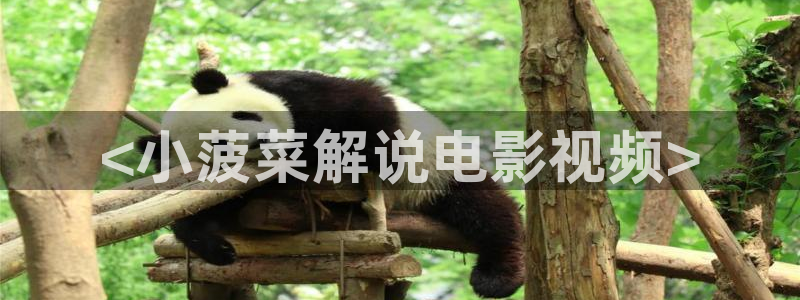 当你沉睡时全集免费观看西瓜：<小菠菜解说电影视频>