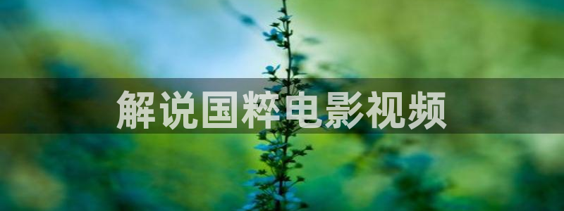天涯赤子心免费观看西瓜