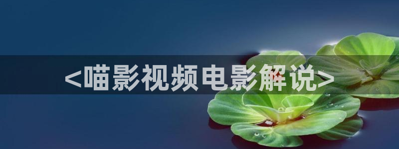 乔家的儿女免费观看西瓜