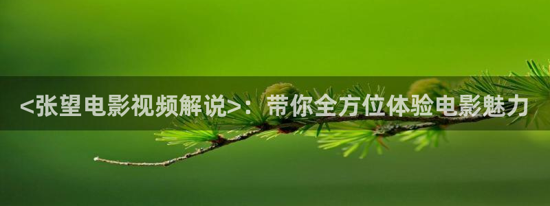 太太万岁在线观看免费西瓜