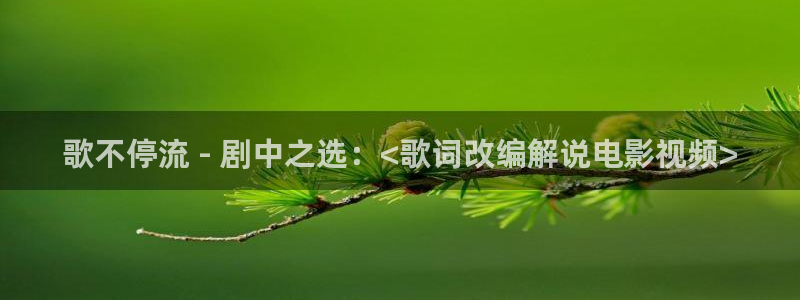 武汉 西瓜