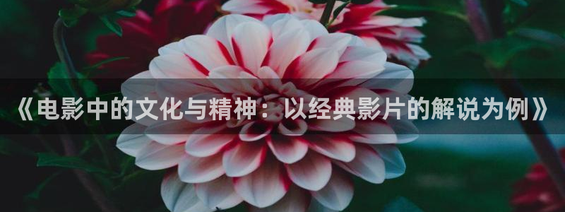 李卫辞官42集西瓜免费观看