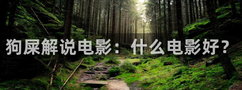 西瓜视频在线观