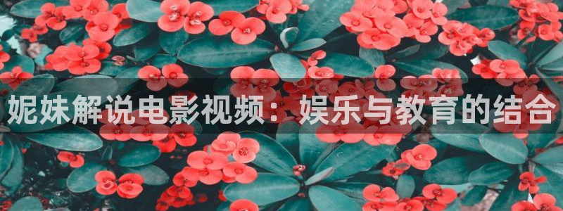 西瓜影院电视剧免费看