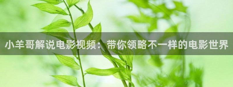 霍元甲免费观看西瓜