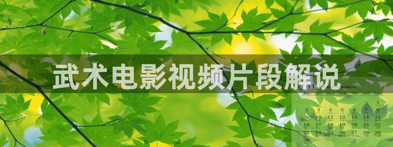 西瓜影视网