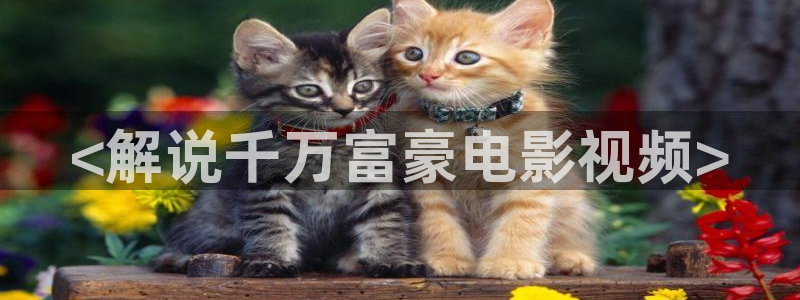西瓜短视频全部免费