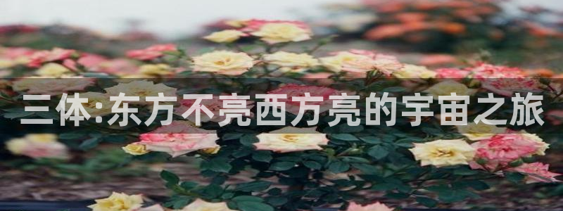 七龙珠第一部国语版西瓜影院