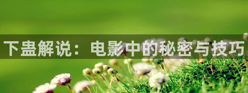 西瓜影院电影免费看