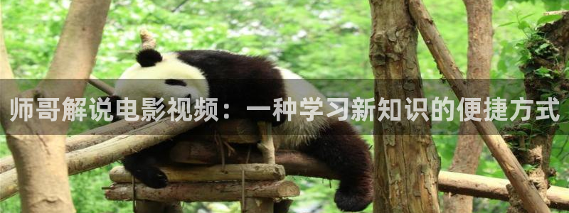 西瓜短剧免费观看软件